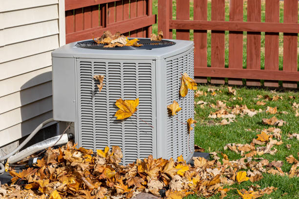Best Residential HVAC Services  in Forestville, OH