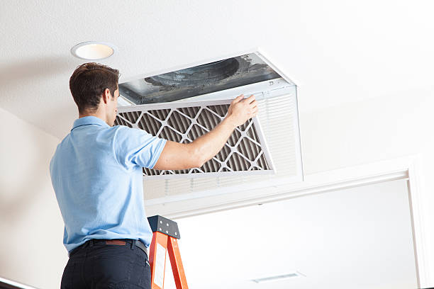 Best HVAC Tune-Up Services  in Forestville, OH
